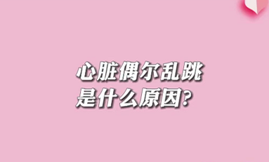 【名醫(yī)面對面之心臟100問】心臟偶爾亂跳是什么原因？