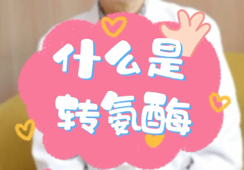 【名醫(yī)面對面之消化100問】什么是轉(zhuǎn)氨酶？