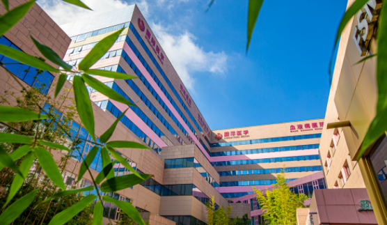 國(guó)醫(yī)四味：竹林、紫杉、桂花、銀杏，還有那……