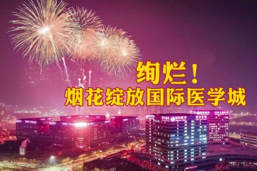 絢爛！煙花綻放國(guó)際醫(yī)學(xué)城